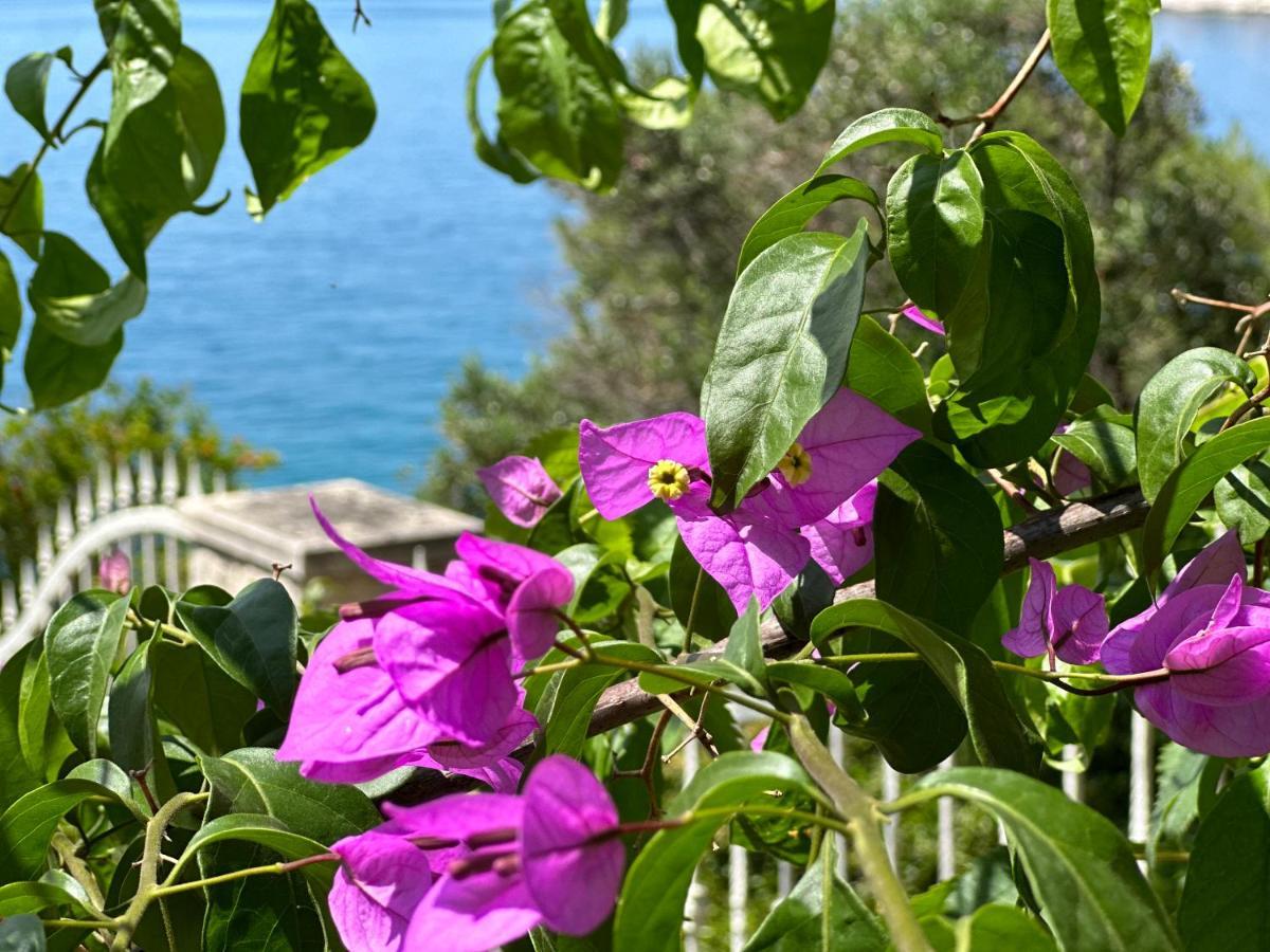 Luxury Seaside Villa With A Classic Mediterranean Olive Garden, A Fully Equipped Professional Kitchen, Pool, Sauna, Padle Boards And Canoe - Miolin Beach House Trogir Bagian luar foto