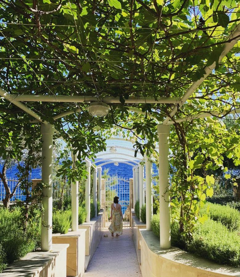 Luxury Seaside Villa With A Classic Mediterranean Olive Garden, A Fully Equipped Professional Kitchen, Pool, Sauna, Padle Boards And Canoe - Miolin Beach House Trogir Bagian luar foto